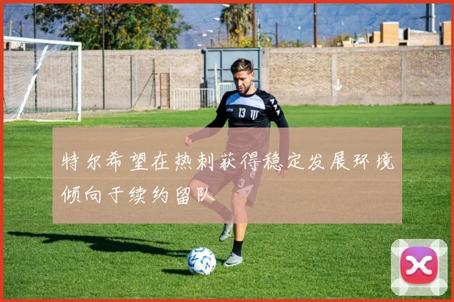 特尔希望在热刺获得稳定发展环境倾向于续约留队