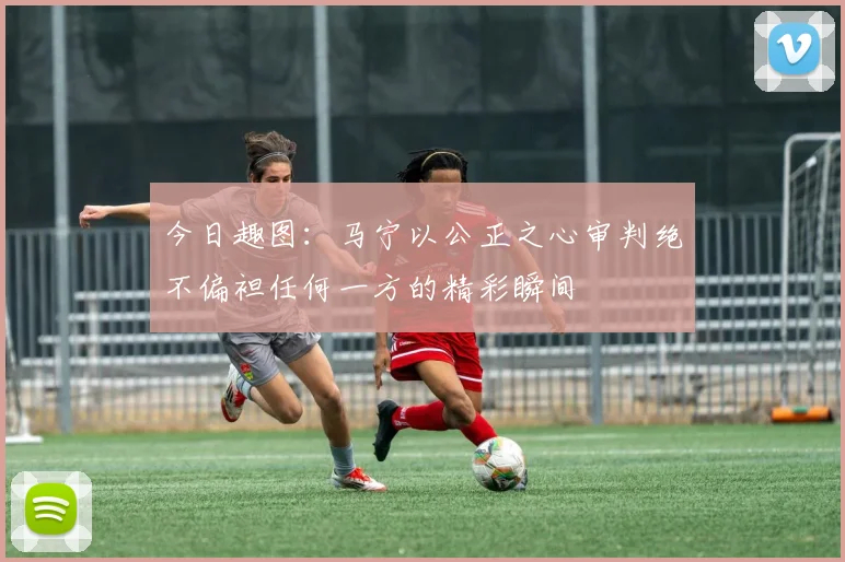 今日趣图：马宁以公正之心审判绝不偏袒任何一方的精彩瞬间